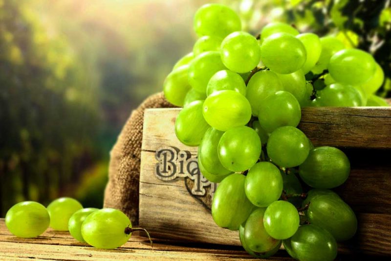 Belo grozdje BioPijaca