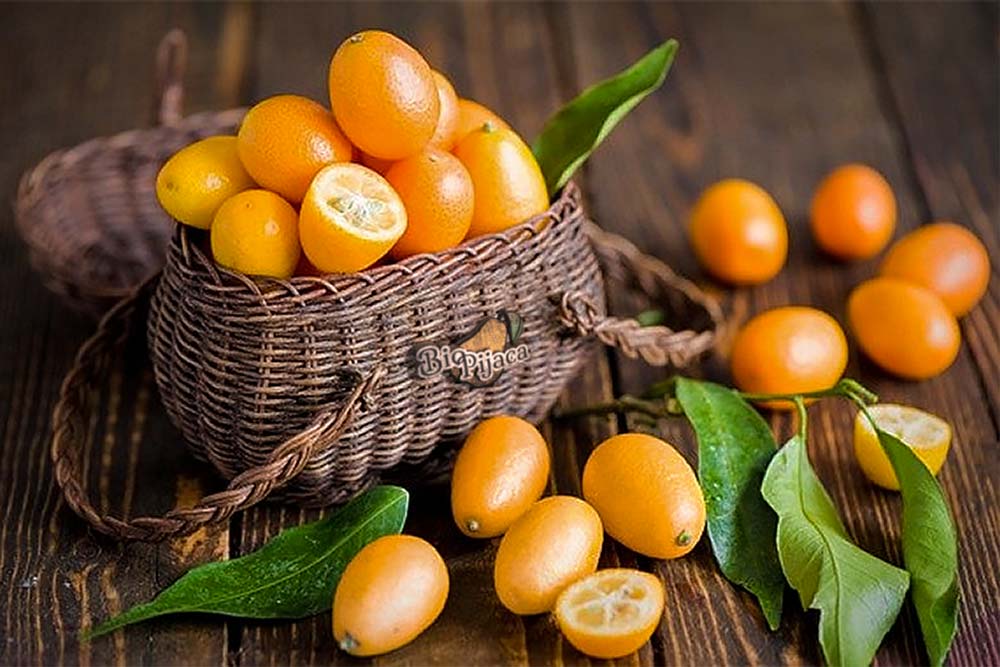 Kumkvat BioPijaca POMELO