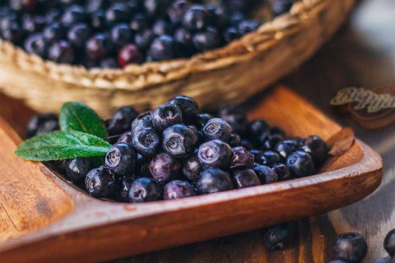 Borovnica kandirana - zdrava ishrana