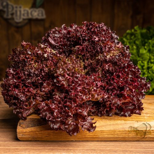 SALATA LOLO ROSO